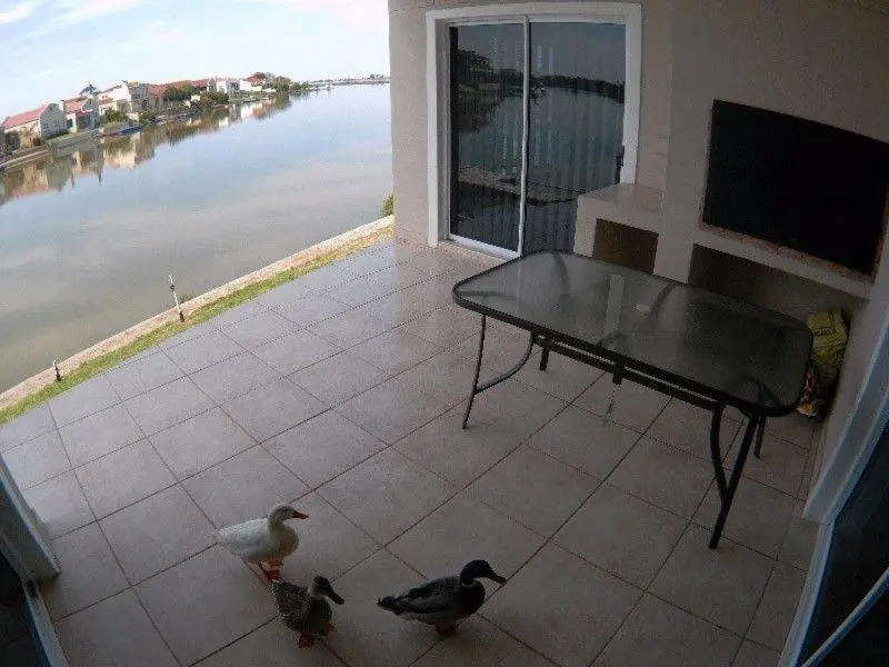 Sunbird-Admiral Island Holiday House