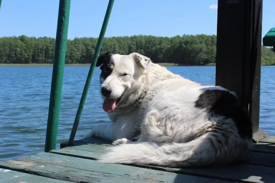 Pensjonat Stary Mlyn Tuczno