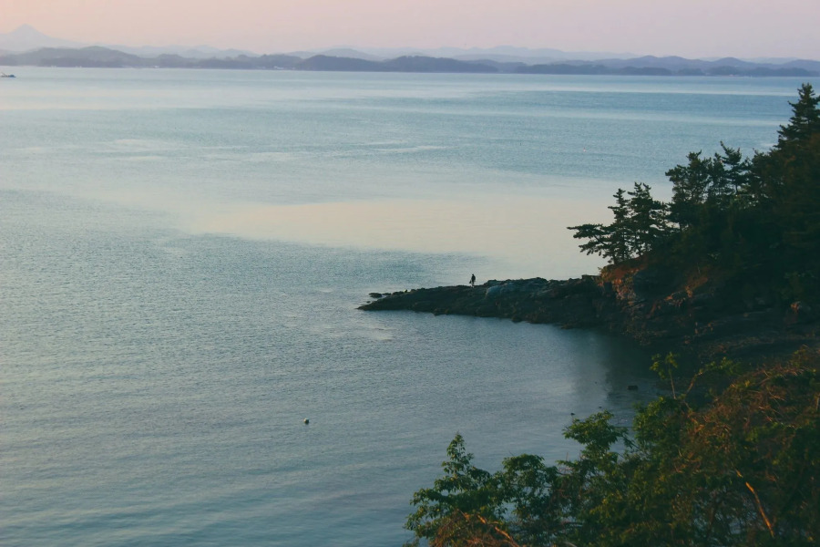 Sea and Sunset Pension