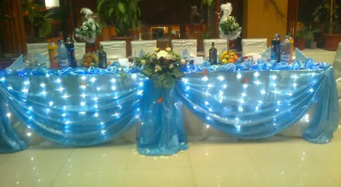 Pensiunea Europa Olanesti