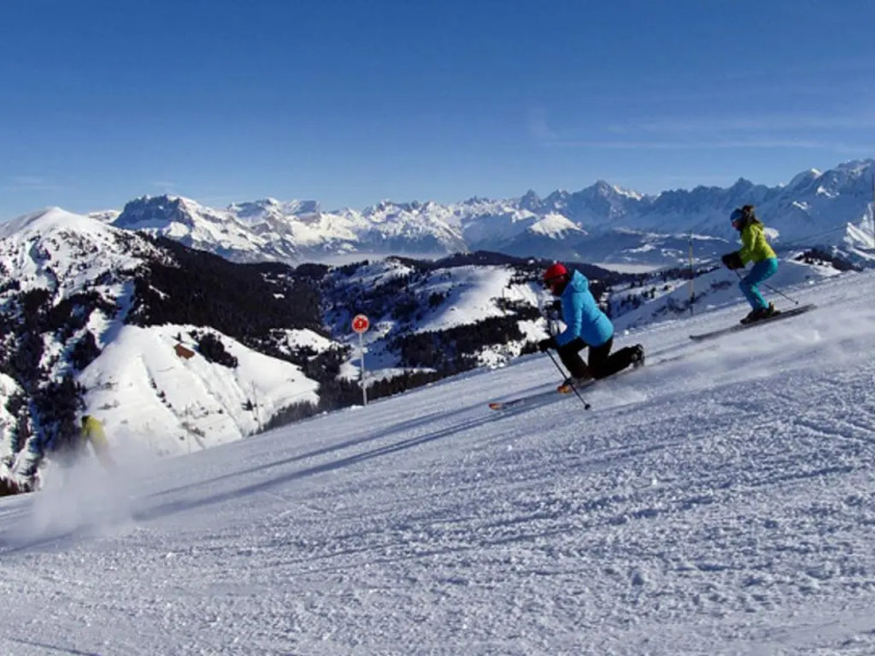 Chalet Crest-Voland, 7 pièces, 16 personnes - FR-1-505-75