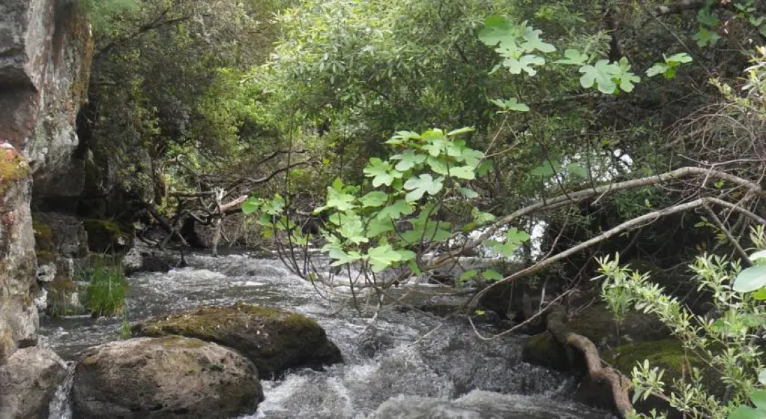 B&B Il Borgo di Antonello Flore