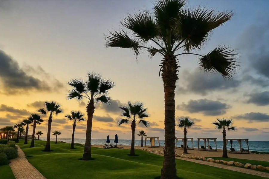 "luxurious Chalets at Porto Said Resort Unmatched Comfort by the Sea"