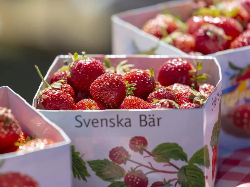 6 Person Holiday Home in Mellbystrand