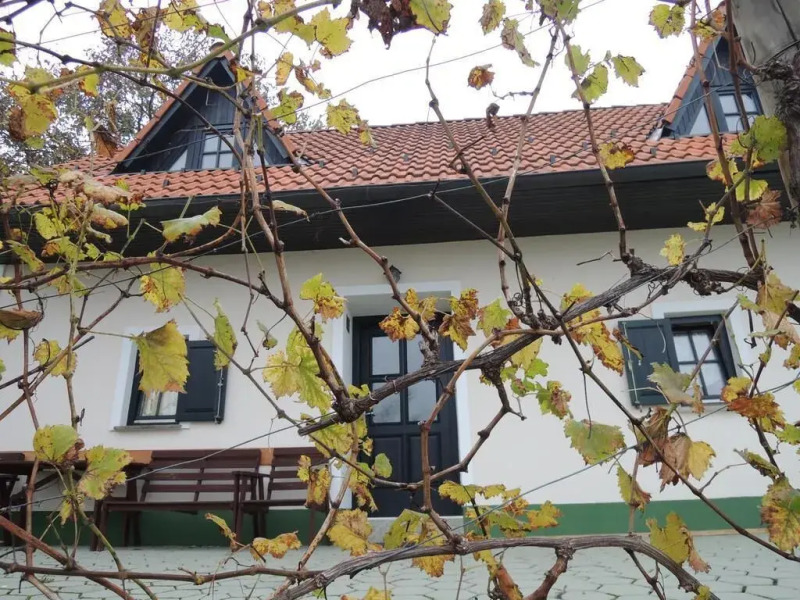 Vineyard cottage Zdolšek