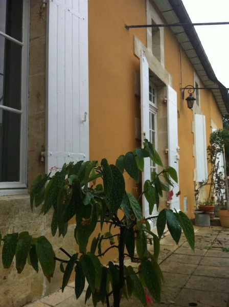 Guest House Yuccas& Tilleuls