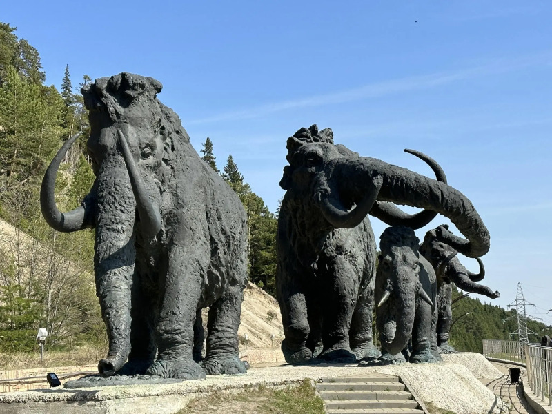 KAK DOMA (Как дома) на улице Коньковой