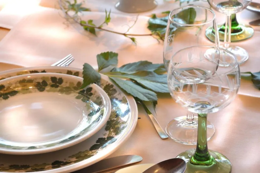 Baudobriga Rheinhotel