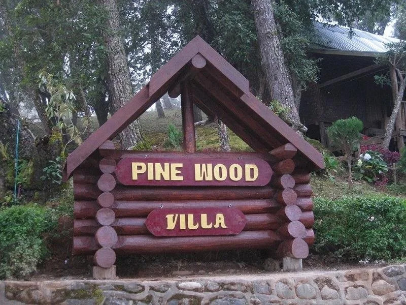 Pine Wood Villa