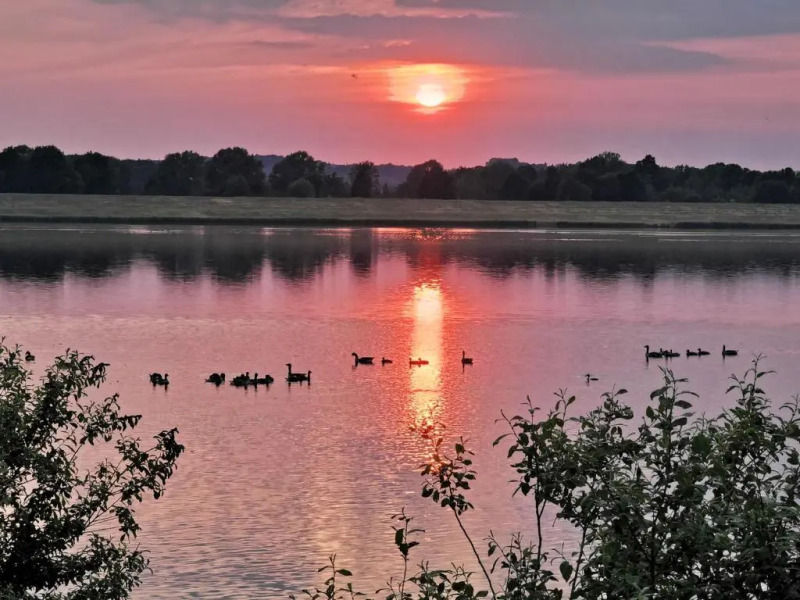 Ferienhaus Rhode am Alfsee