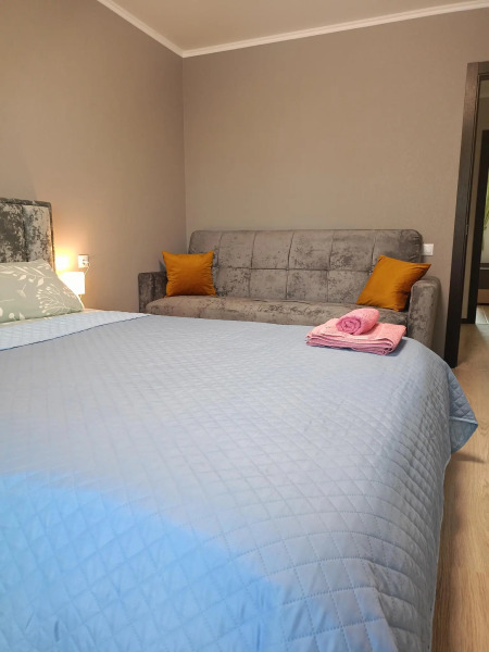 Апартаменты на  улице А. К Толстого 3