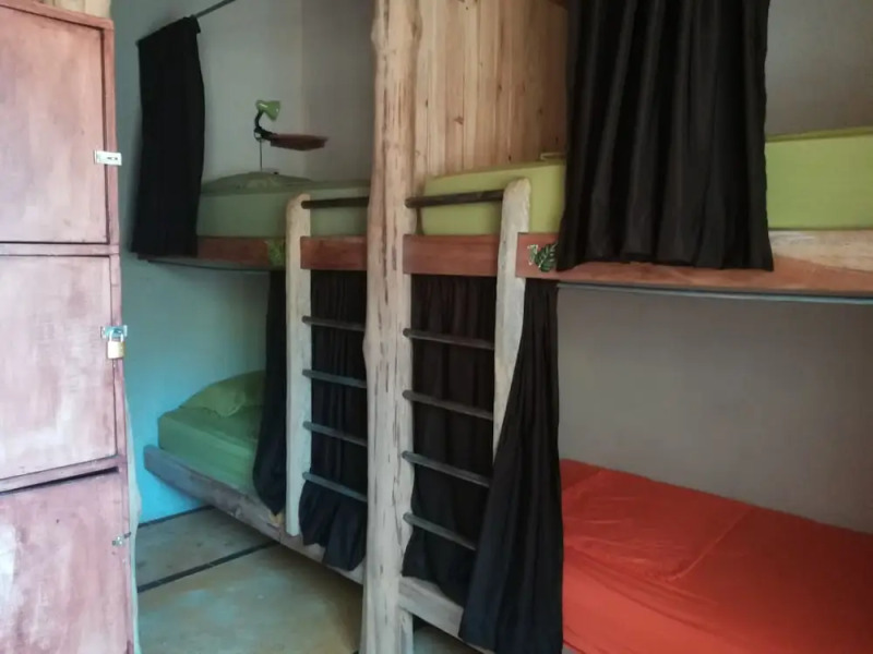 Tiki Lodge Bar & Restaurant - Hostel