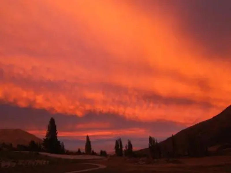 Pagan Vines Vineyard Accommodation