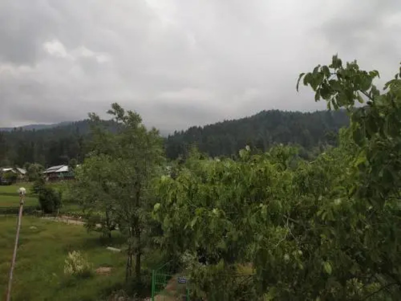 Himalaya Discover Resort