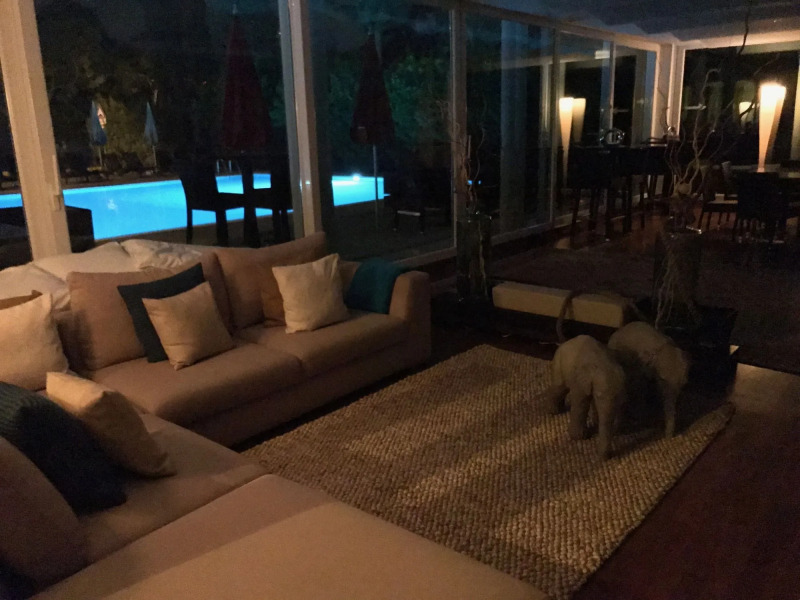 Alexandra Stay Residence