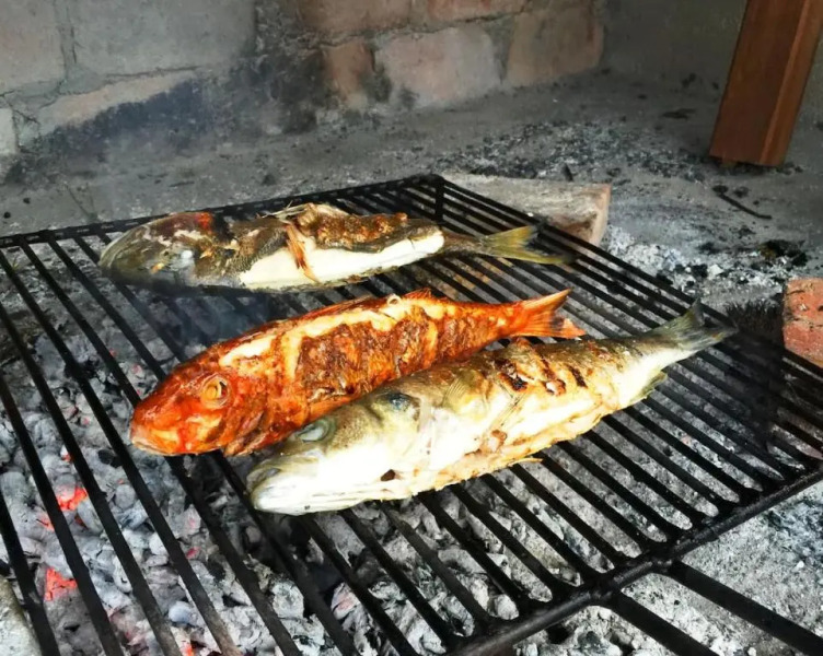 Seaside Vacation Rental 4Tuna