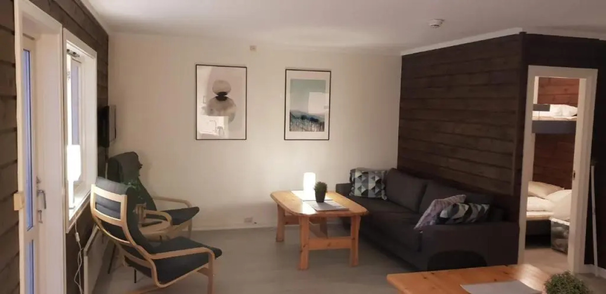 Oppdal Alpintun Stølen ski in - ski out