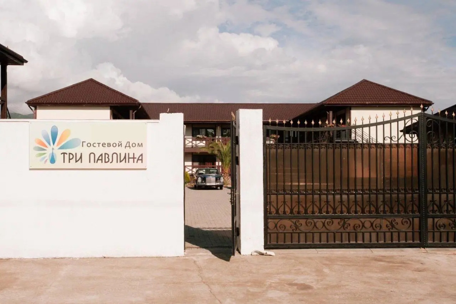 Три павлина