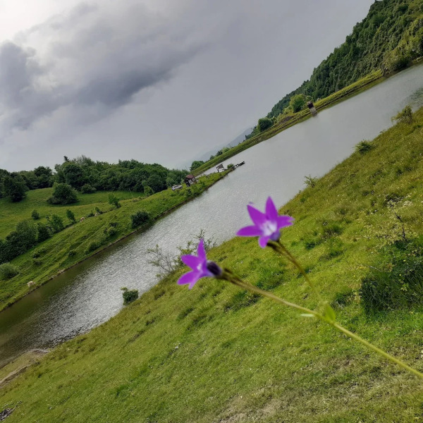 Sejour Lake Mountain View for 3 People