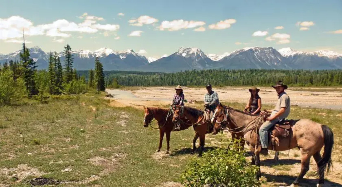 Bear Corner Adventures Bed & Bale