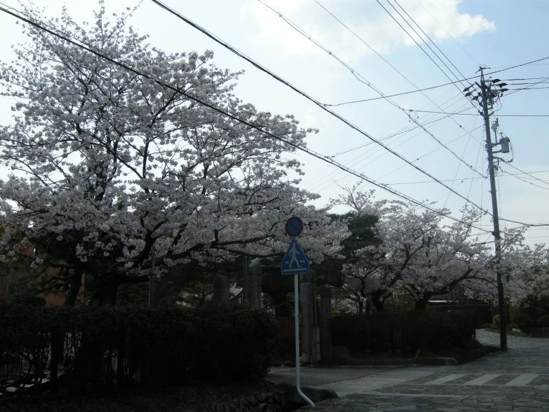 Yachiyo Kappou & Ryokan
