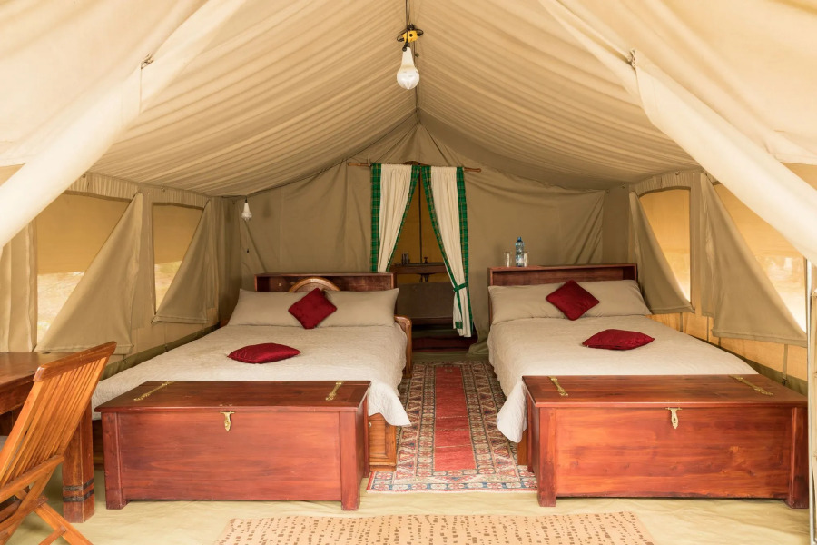 Hammerkop Migration Camp