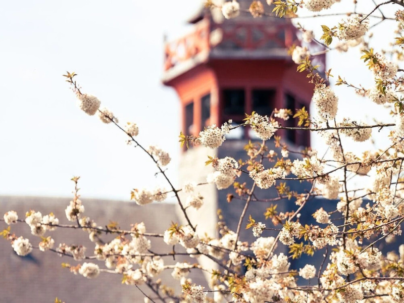 Welcoming Holiday Home in Damme With Garden