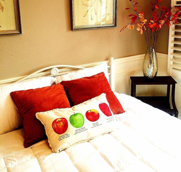 Niagara Falls Lakeview house