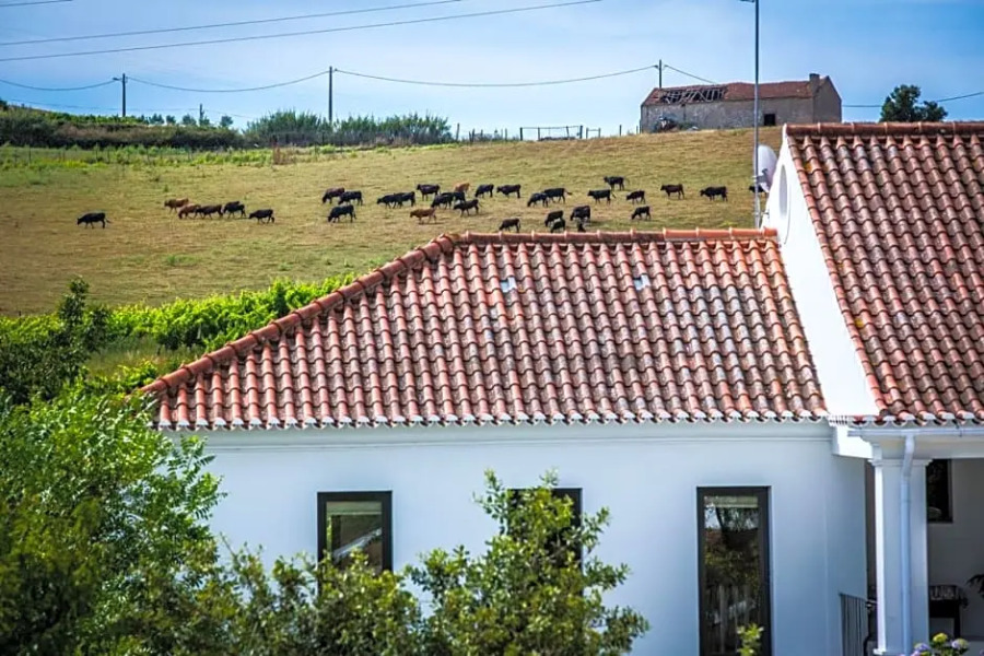 CAMBEIROS - Guest House