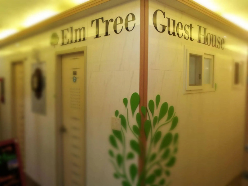 Elm Tree Guesthouse Myeongdong