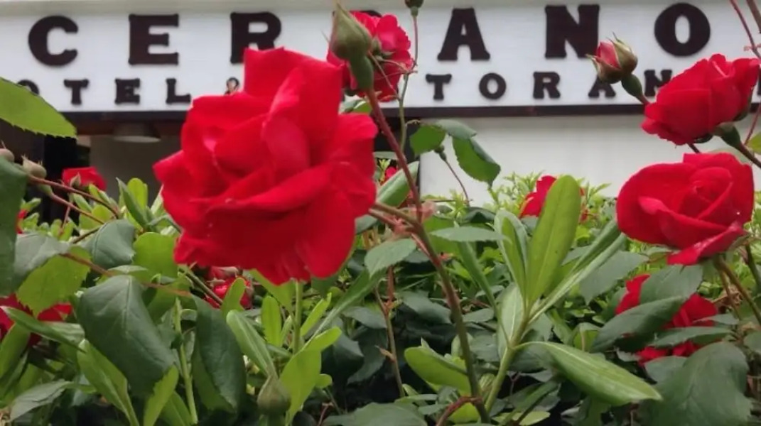 Hotel Cerrano