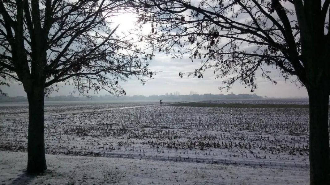 A l Ombre des Catalpas