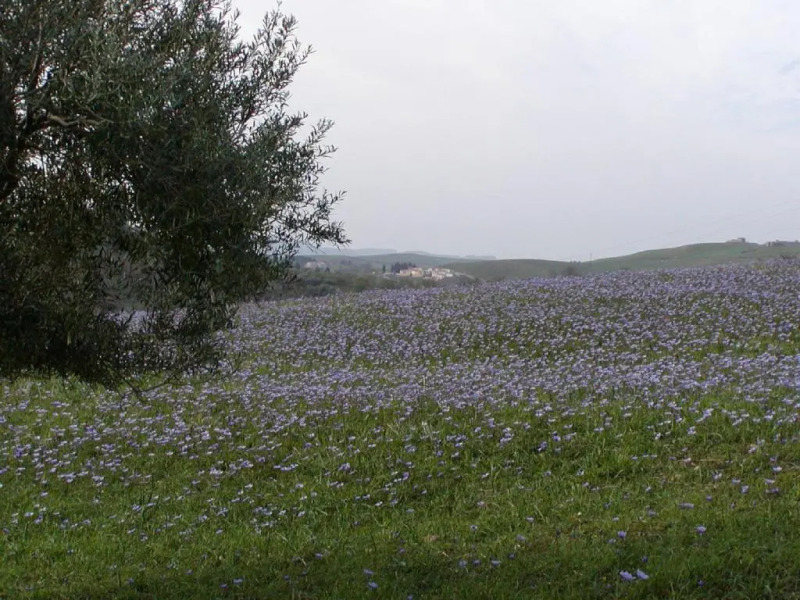 Casa Vacanze TwentyMiles