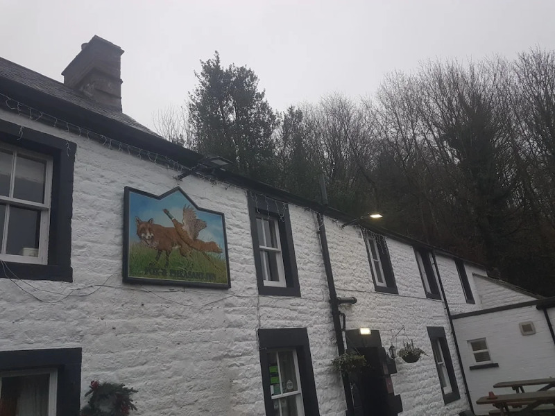 The Fox and Pheasant