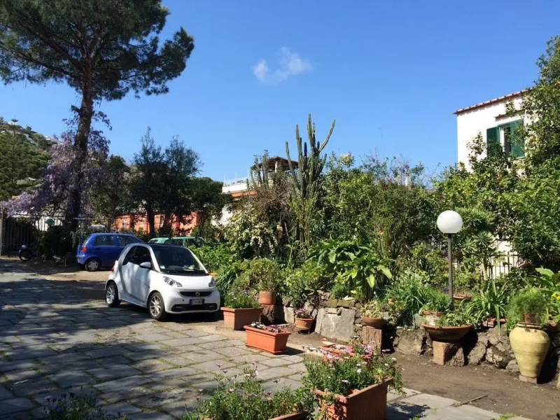 Le Ginestre