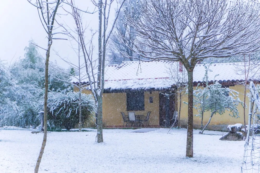 El Manantial Del Fresno