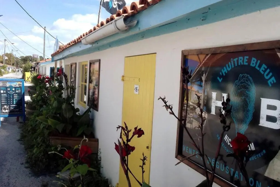 Le charme des plages océanes entre Bassin et Médoc