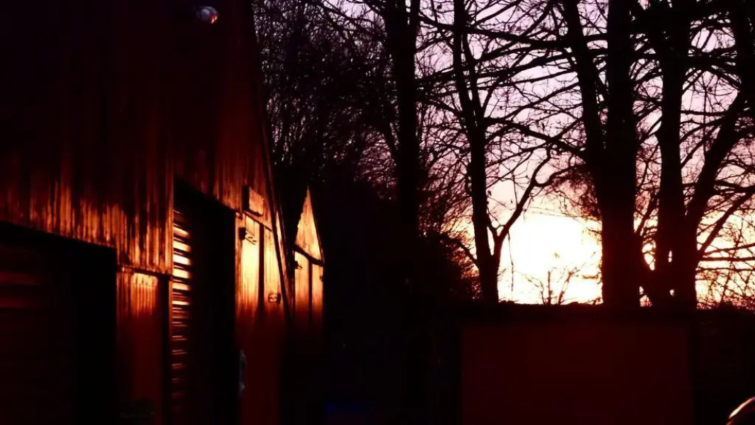 Herberg De Helleborus