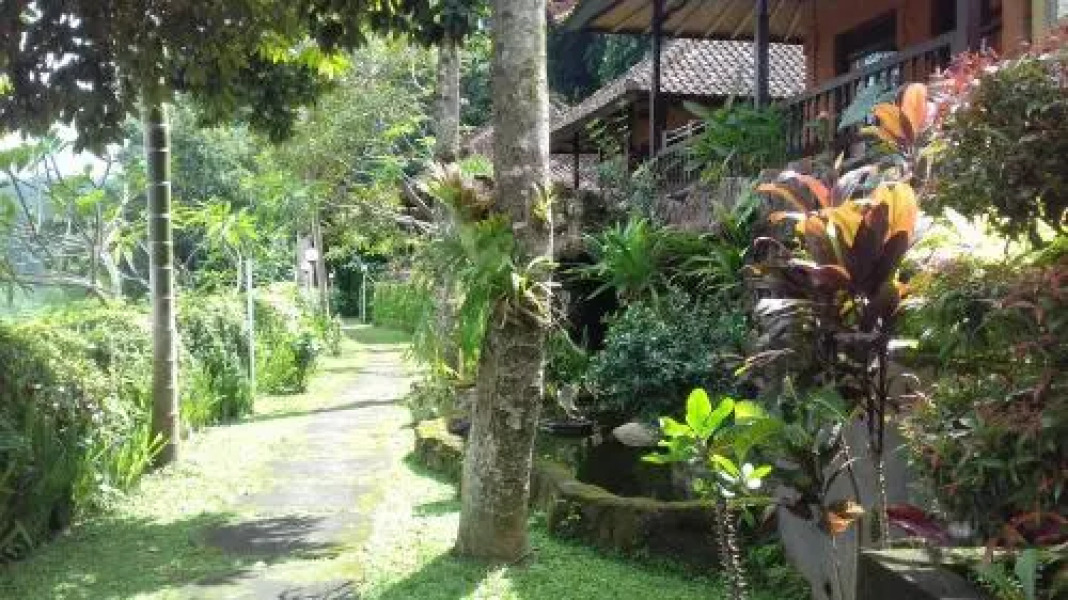 Kusuma Jaya On The Hill