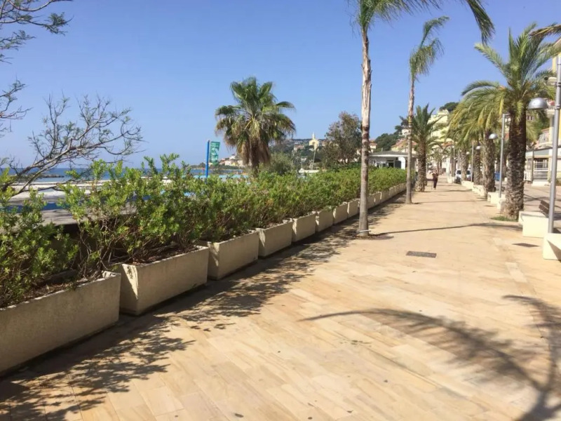 Marilena - La Bouganville