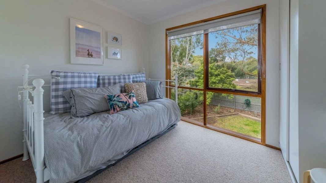 Florida Trees - Surf Side