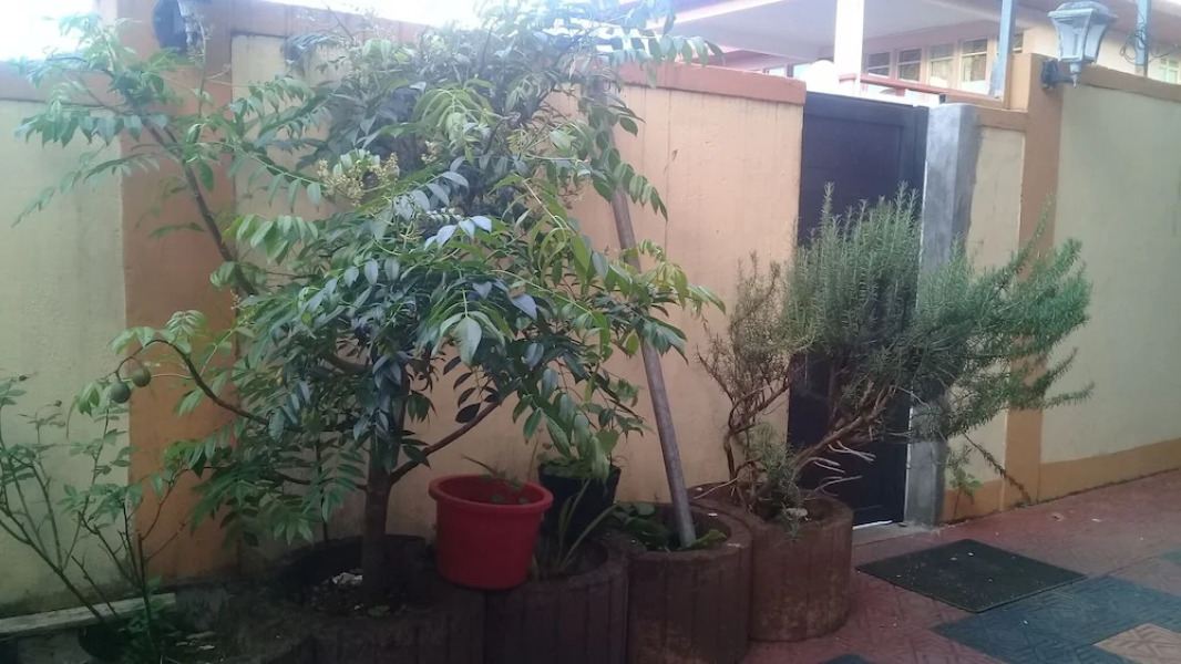 Paradise Resting Home