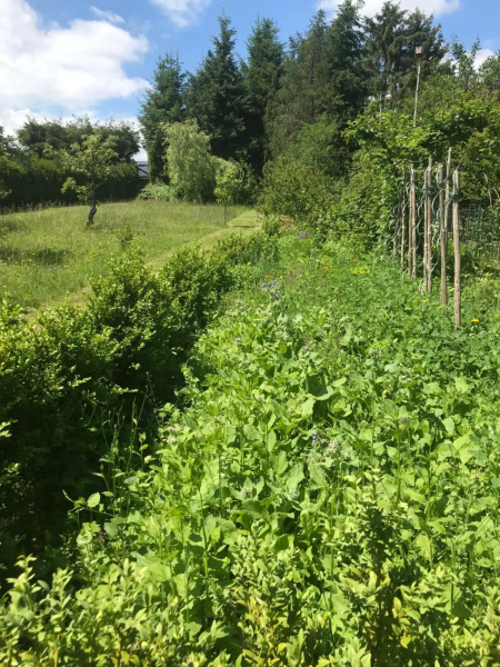 Wohnung in Ilmenau für Geschäftsreise, Urlaub oder Studium im OT Oehrenstock
