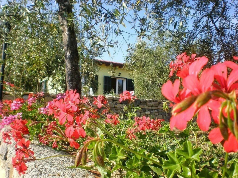 Agriturismo il Grande Ulivo