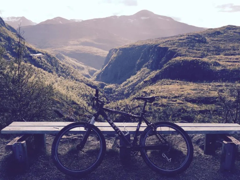 The Old Harbour Store