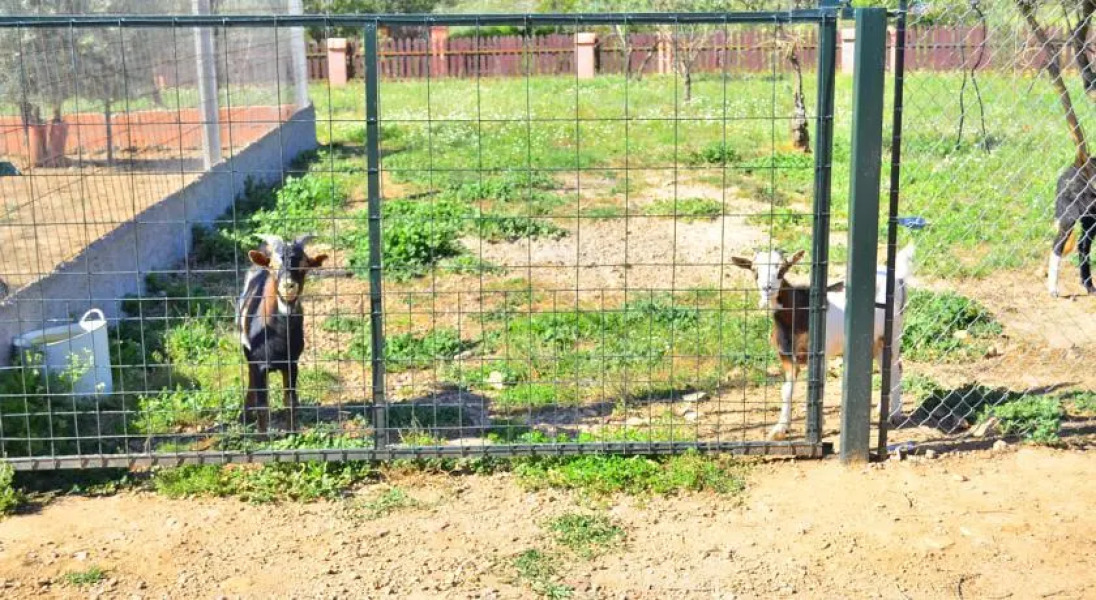 Casa Rural Los Rodeos