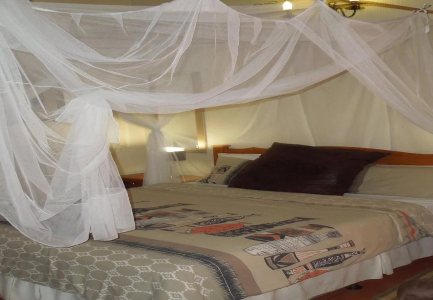 Trees Too Guest Lodge