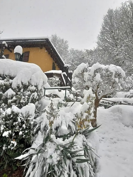 Casa Amici Del Bosco