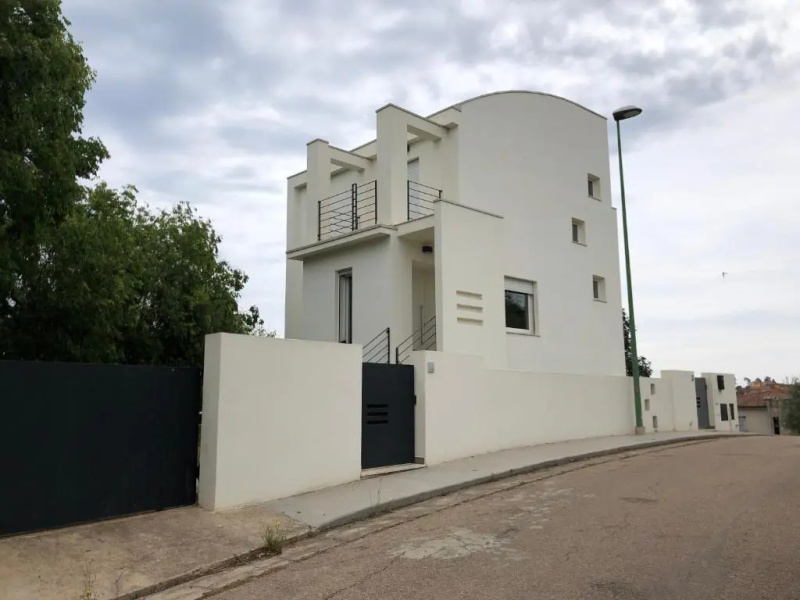 Modern House