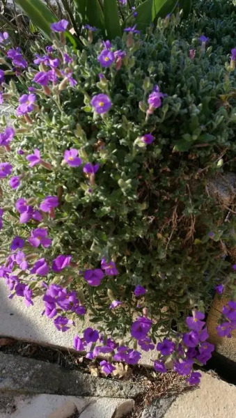 Suite familiale de charme en Provence